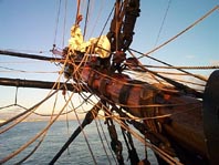 Visit Cook's replica ship