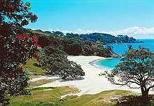 waiheke island, in auckland's hauraki gulf