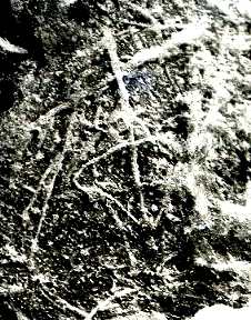 Rock drawing at Tauhara, Lake Taupo