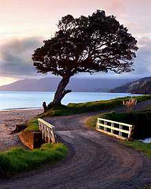 fantail bay