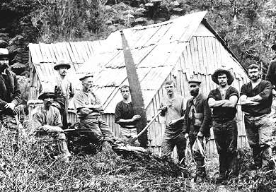 Timber camp